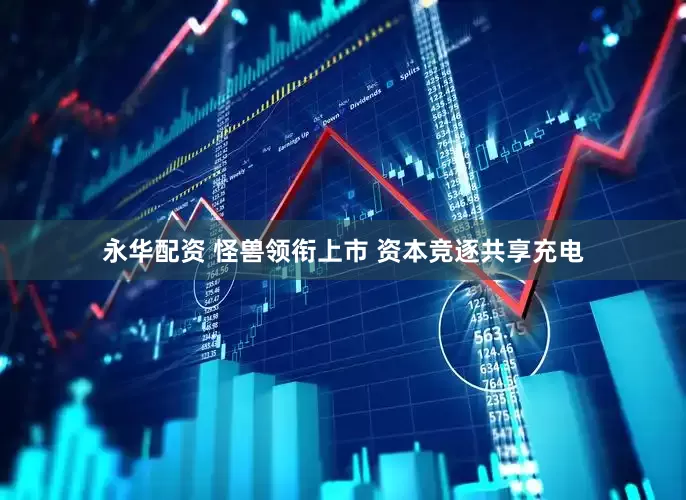 永华配资 怪兽领衔上市 资本竞逐共享充电