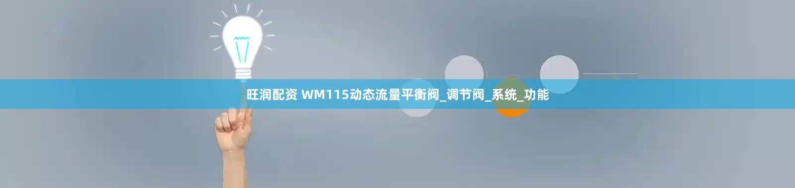 旺润配资 WM115动态流量平衡阀_调节阀_系统_功能