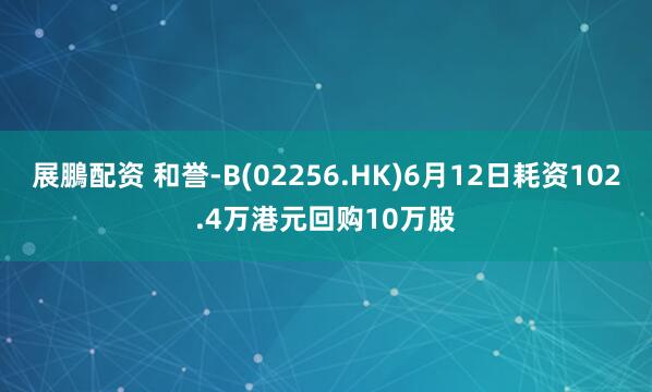 展鵬配资 和誉-B(02256.HK)6月12日耗资102.4万港元回购10万股