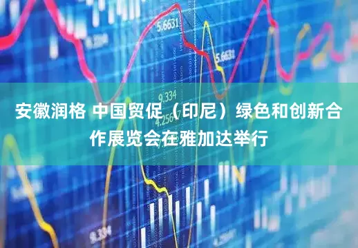安徽润格 中国贸促（印尼）绿色和创新合作展览会在雅加达举行