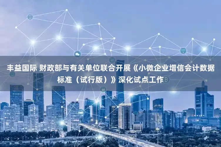 丰益国际 财政部与有关单位联合开展《小微企业增信会计数据标准（试行版）》深化试点工作