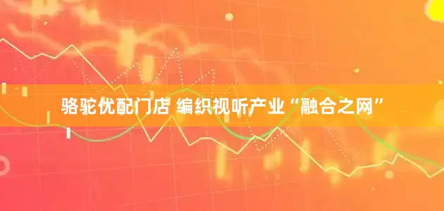 骆驼优配门店 编织视听产业“融合之网”